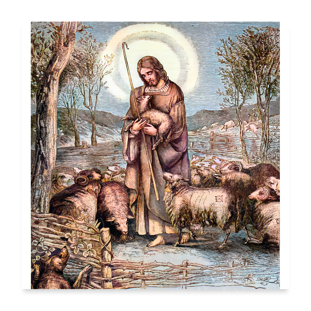 Jesus in der Mitte seiner Schafe mit der Sonne im Hintergrund